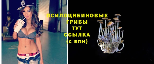 соль курить ск Верея