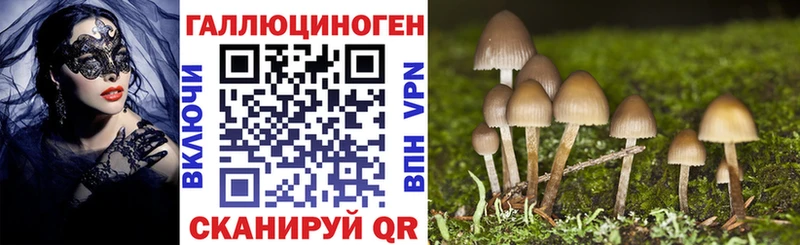 Псилоцибиновые грибы MAGIC MUSHROOMS  Медногорск 